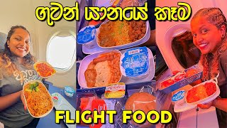 අහසෙ ඉඳන් කාපු කෑම | Flight Food | Flydubai (English and Azerbaijani Subtitled)