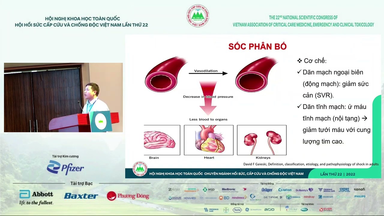 Sóc Sờ Bai Sóc Trăng - Nguyễn Thành Viên | Cha Cha Sôi Động