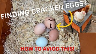 HOW TO PREVENT CRACKED EGGS!