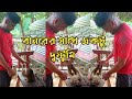 বানরের সাথে একটু দুষ্টুমি || A little mischief with the monkey || Ab Barua New Video