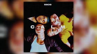 5 Seconds Of Summer - Lover Of Mine