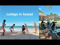 what its like going to college in hawaii