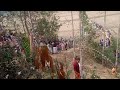 Gara Songgital Biao Rechil Mahari 