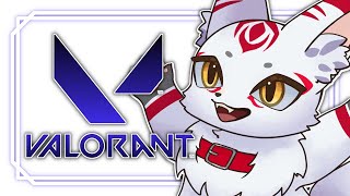 VALORANT｜カレーメシおいしかった！の巻