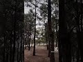 #tiktok #nature #adventure