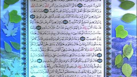 القران الكريم سورة هود من الاية 63 الى الاية 81