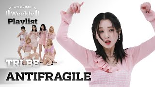 [Weekly Playlist] 파워 넘치는 트라이비가 준비한 LE SSERAFIM의 ＜ANTIFRAGILE＞ 정말 무슨 말이 더 필요해...♬ l EP.596