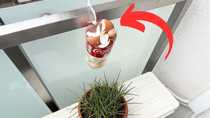 Daripada membuangnya, gantung saja di balkon. Anda akan segera mengerti alasannya