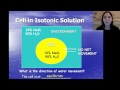 Cell Transport Quiz