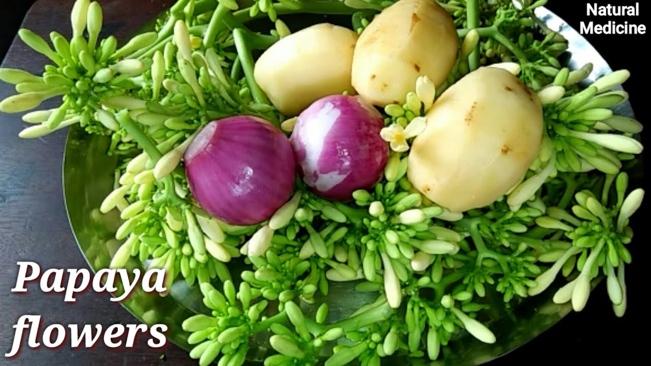 Papaya flowers Recipe 100 रोगों से मुक्ति पाए यह पपीते की फूल की
