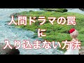 人間ドラマの罠に入り込まない方法‼️byキャメレオン竹田