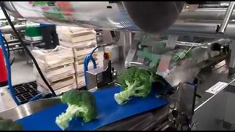 GNA - Flowpack Machine mod. MOBULA