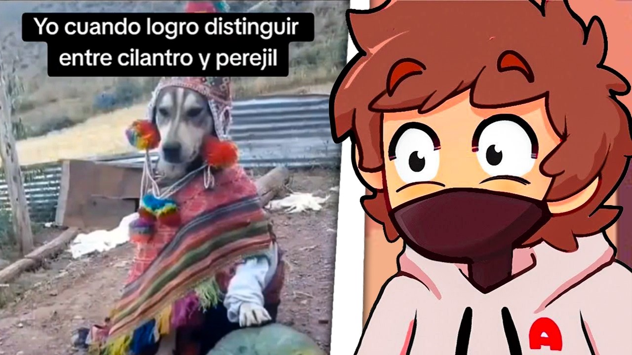 AQUINO reacciona a los LIKES de LUCASTA en TIKTOK