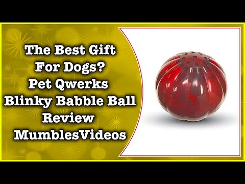 The Best Gift For Dogs? Pet Qwerks Blinky Babble Ball Review - MumblesVideos