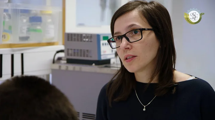 They understand aging using mathematics, Marija Cv...