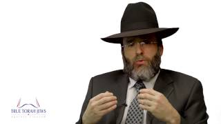 Video: Zionism does not represent Jewish people. Netanyahu is not our Leader - Yaakov Shapiro