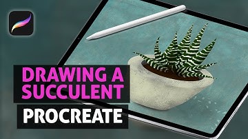 Drawing a Succulent Zebra Plant 🦓 🌿  in Procreate // Procreate Timelapse