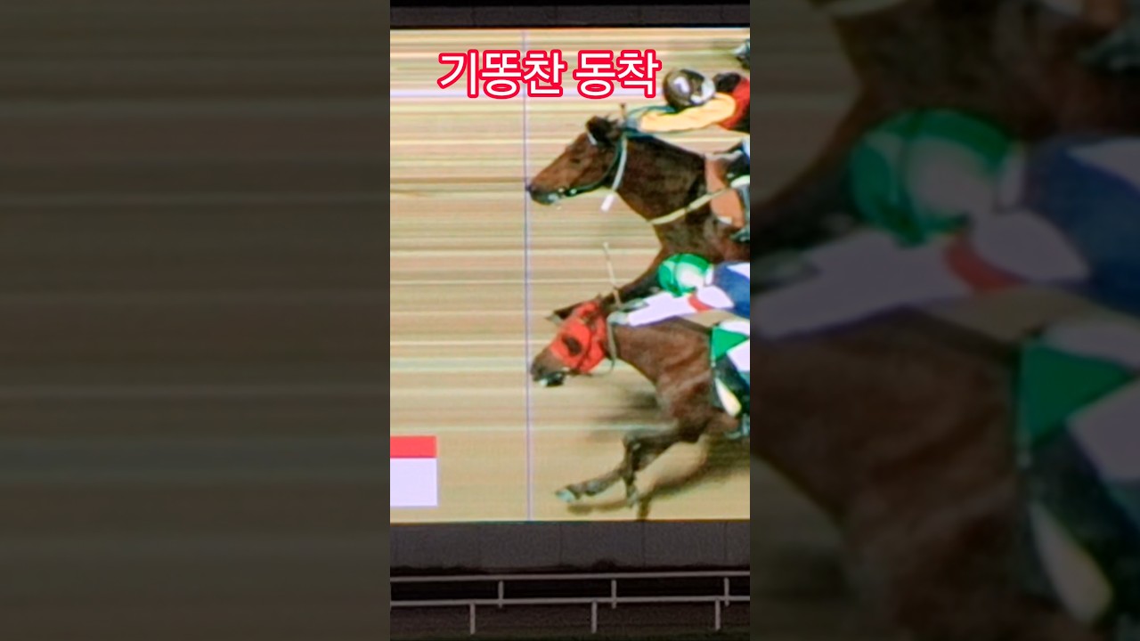 기똥찬 동착#경마 #말 #달려라말 #shorts #사진