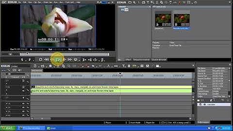 Edius Tutorials in Telugu   Class 21   How To Fix Imported Video Not Displayed On Working Area
