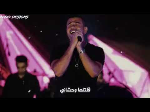 عمرو دياب كان باين من سلامها