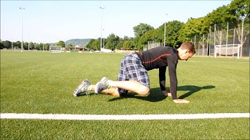 Quadruped External Hip Rotations