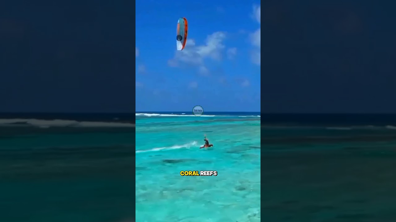 Venezuela: Rich in Nature, Rich in Oil, Poor in Economy 