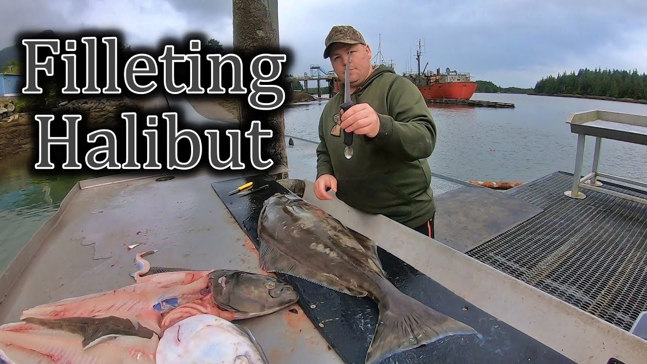  How to Fillet Halibut Filleting Halibut Quick and Easy Keeping