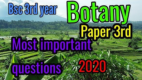 Bsc 3rd year botany paper 3rd most important questions for 2020 exams for all universities of u p