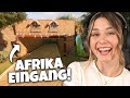 Der Afrika Bereich wächst! - Planet Zoo: Muckelzoo 81 (Stream vom 22.03.2024)