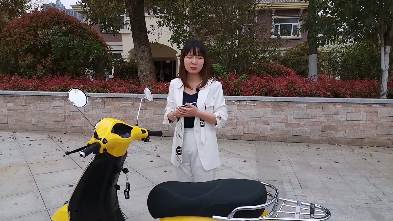 TLS-Plus Electric Scooter – A Vespa Commuter