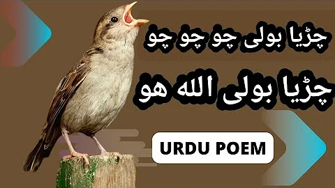 Chirya Boli Choo Choo | Allah Ho Allah Ho | Urdu Poem For Kids