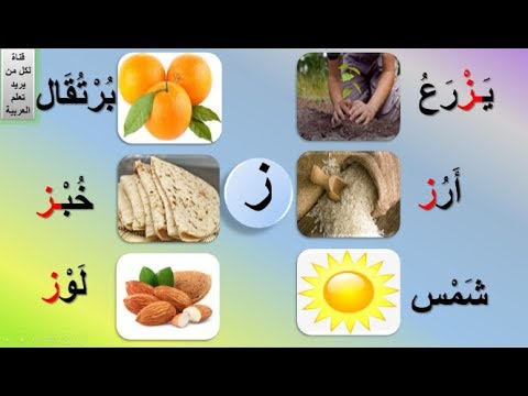حرف ز | حرف الزاي مع الحركات القصيرة | حرف الزاي مع المدود الطويلة ...
