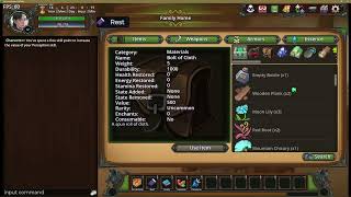 Item Inventory and Skill Book UI Updates for Life in the Kingdom - Dev Log @DriftyG