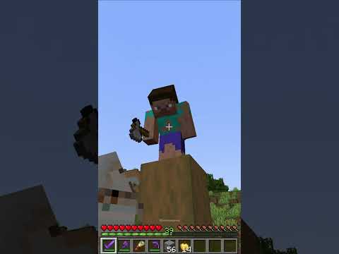 Steve Getting Revenge