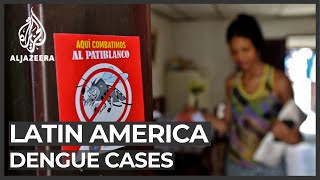 Dengue fever crisis grips Latin America