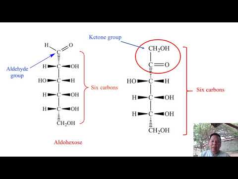 Unit 5 Part1 Carbohydrate [NU63 Biochemistry]