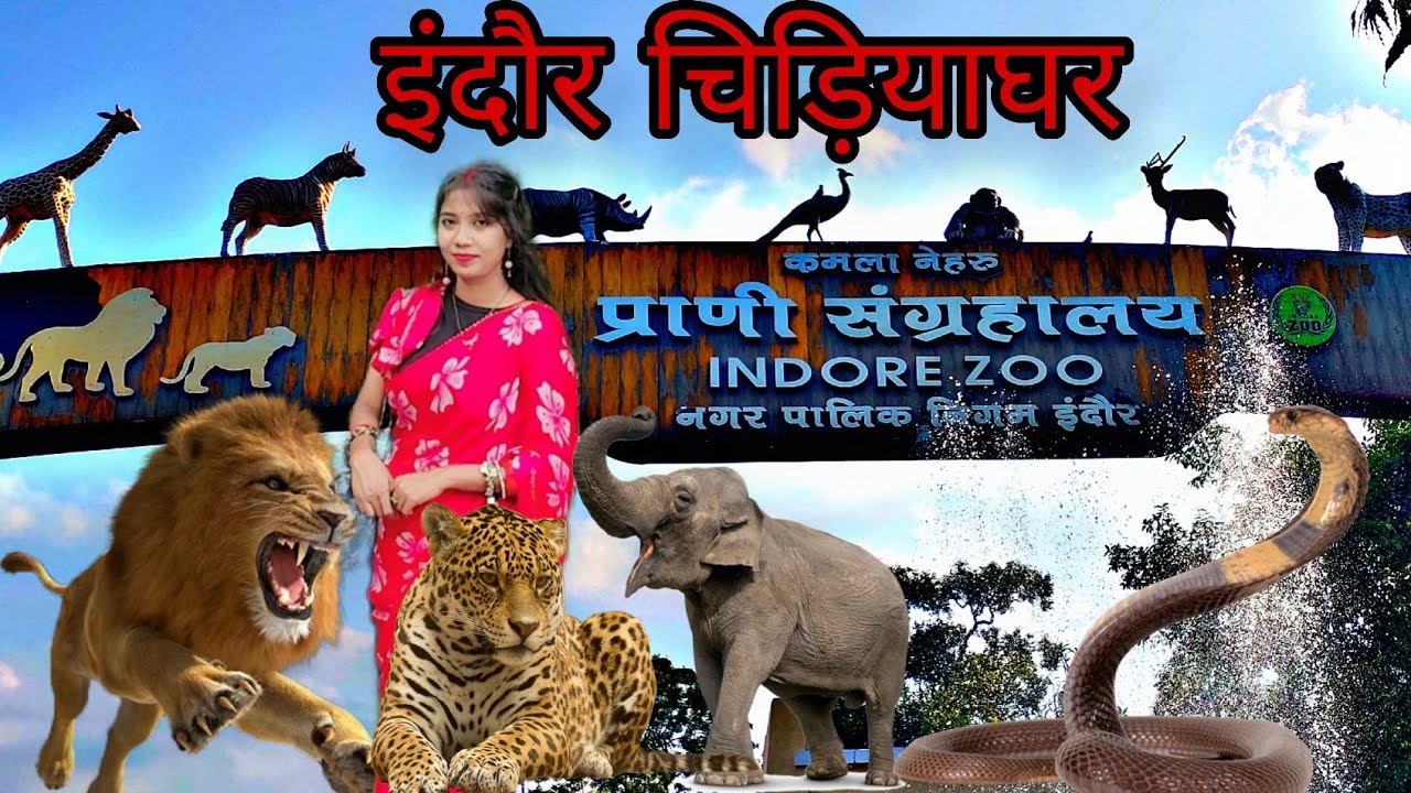 Indore zoo | Neharu prani sangrhalya | इंदौर चिड़ियाघर  | indore madhya pradesh 