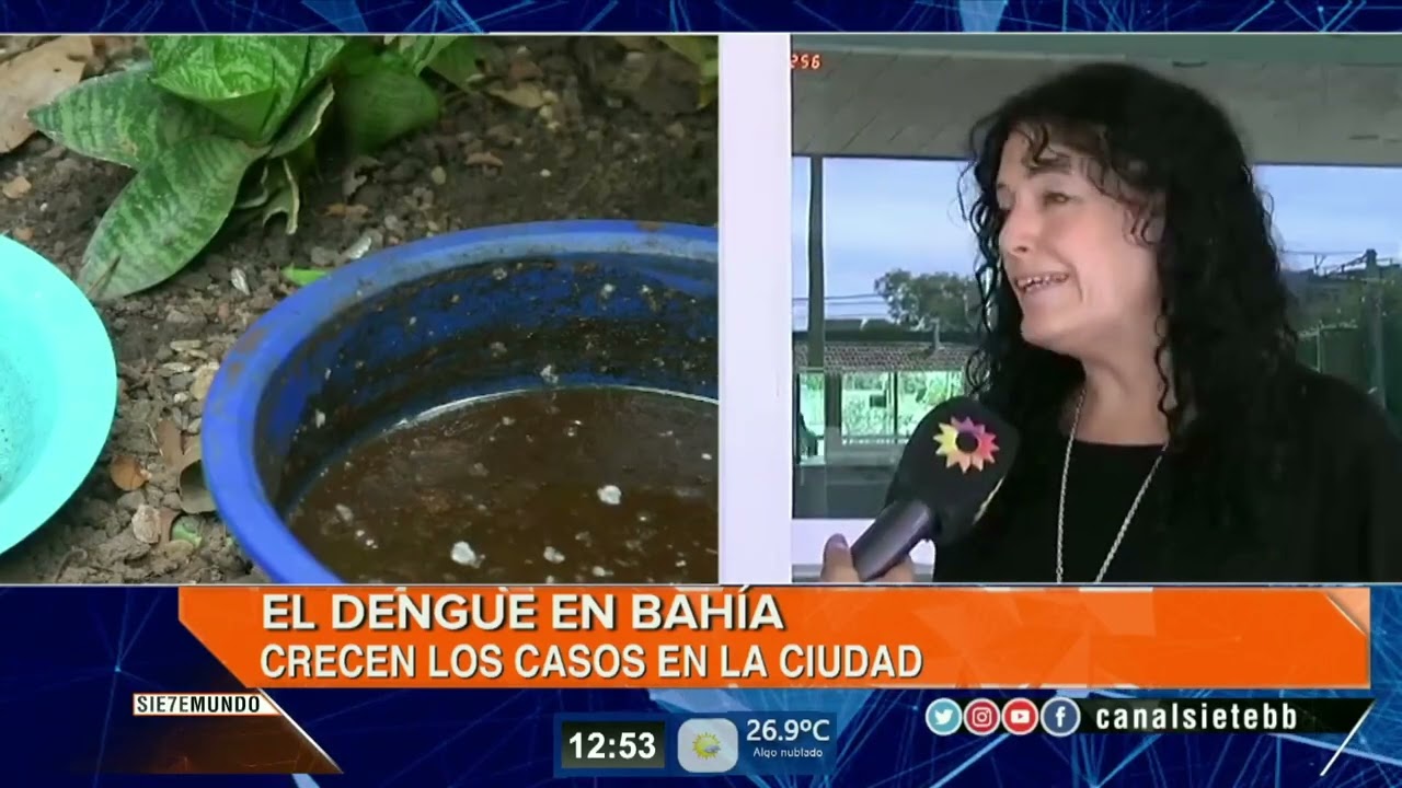 Se reportaron 9 casos de dengue en Bahía