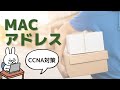 【#7 CCNA 】【1章ネットワーク基礎】MACアドレス