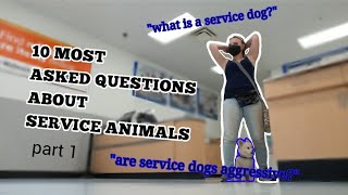 10 MOST ASKED QUESTIONS ABOUT SERVICE ANIMALS