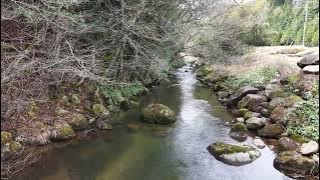 DJI 20250415104515 0002 D