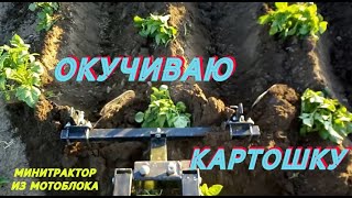 ОКУЧИВАЮ КАРТОШКУ 2021 / Самодельный минитрактор из мотоблока