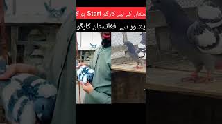 Going To Helloafghanistan