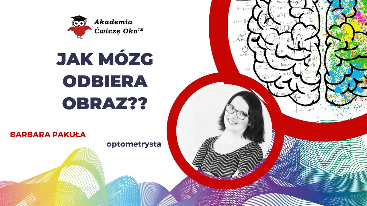 Na Czym Polegają Ruchy Górotwórcze 1. Jak mózg odbiera obraz? - Przetwarzanie wzrokowe - siatkówka, droga