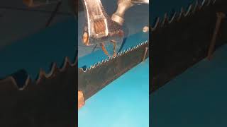 How I Sharpened My Dull Saw with Just Simple Tools Net Worth