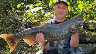 картинка: РЫБАЛКА 🎣ОГРОМНОГО КОРОЛЕВСКОГО ЛОСОСЯ! King Salmon ￼Oгромные рыбы выпрыгивают из воды!👍ДЕНЬ ПЕРВЫЙ