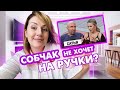 Сатья и Собчак: кто в доме главный? Чем опасна ведическая психология? Разбор интервью.