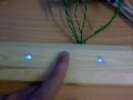 Wood Interface