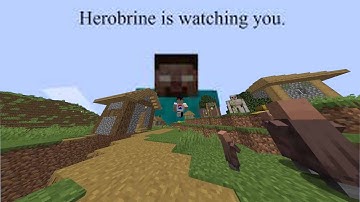 Minecraft but there is Random Chaos every 30 seconds