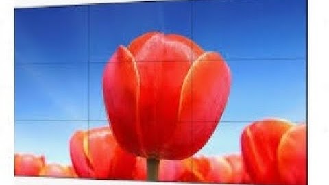 How to create the video wall on DSS Express